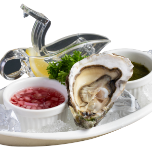 oyster-n3-brittany