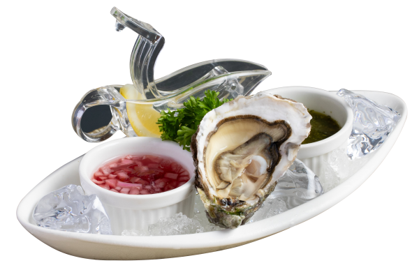 oyster-n3-brittany