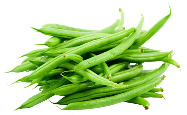 french-green-beans-loose